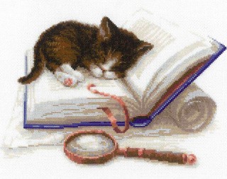 Набор для вышивания «Котенок на книжке»