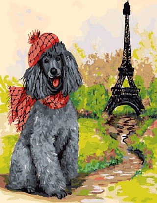Картина по номерам «Пудель - Парижанин»