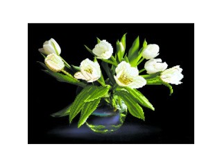 Рисунок на шелке «Белые тюльпаны»