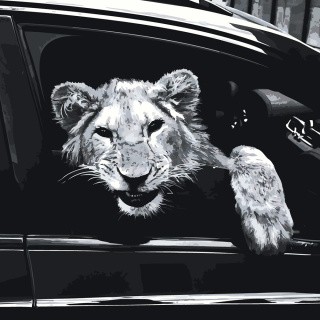 Картина по номерам «Рэпер Макан Macan: Спокойной ночи, лев» Картина по номерам «Рэпер Макан Macan: Спокойной ночи, лев»