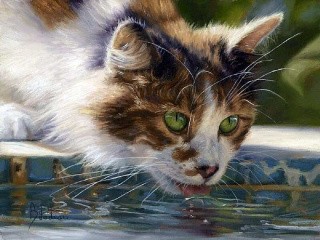 Алмазная вышивка «Котик у воды» Алмазная вышивка «Котик у воды»