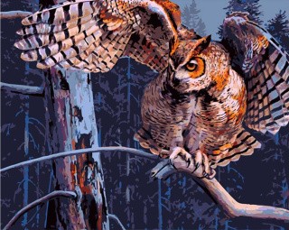 Картина по номерам «Ночная сова» Картина по номерам «Ночная сова»