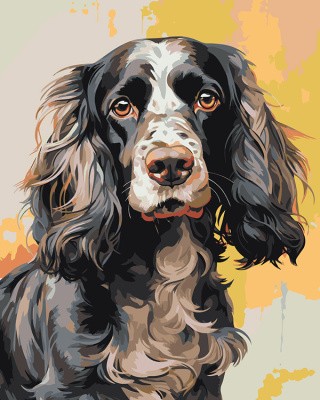 Картина по номерам «Собака Спаниель черная с белым»