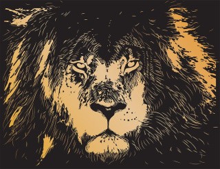Набор для творчества «Гравюра. Царь зверей», золото, 20x25,5 см, Hobbius