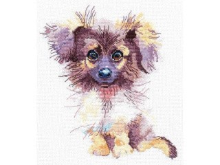 Набор для вышивания «Пушистик» Набор для вышивания «Пушистик»