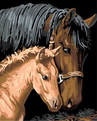 Картина по номерам «Лошадь с жеребёнком»