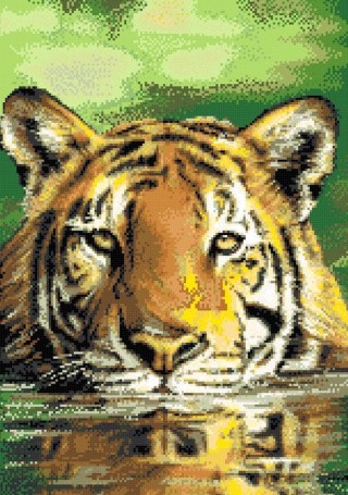 Набор для вышивания «Тигр в засаде»