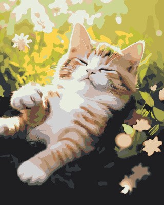 Картина по номерам «Котенок спит в траве на полянке»