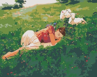 Картина по номерам «Сон на лугу»