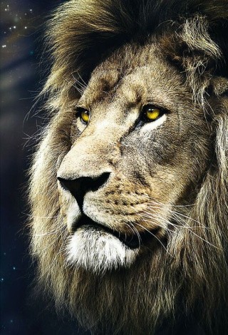 Пазл «Портрет льва»