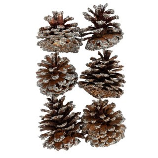 Шишки Сосны, под серебро, 6 шт., Blumentag Шишки Сосны, под серебро, 6 шт., Blumentag