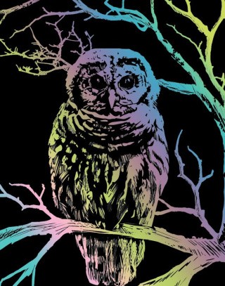 Набор для творчества «Гравюра. Сова», 20x25,5 см, Hobbius Набор для творчества «Гравюра. Сова», 20x25,5 см, Hobbius