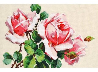 Набор для вышивания «Свежесть» Набор для вышивания «Свежесть»