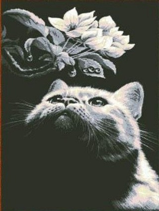 Рисунок на ткани «Кот»