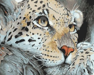 Картина по номерам «Леопард на отдыхе»
