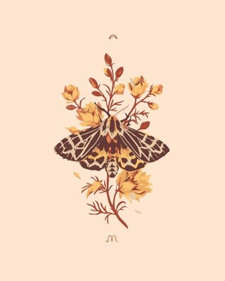 Картина по номерам «Бабочка» Картина по номерам «Бабочка»