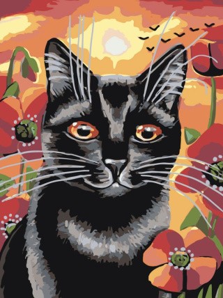 Картина по номерам «Котейка в маках»