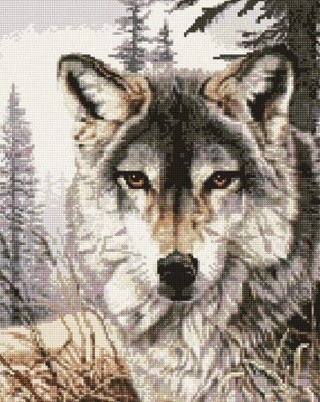 Алмазная вышивка «Добрый взгляд» Алмазная вышивка «Добрый взгляд»