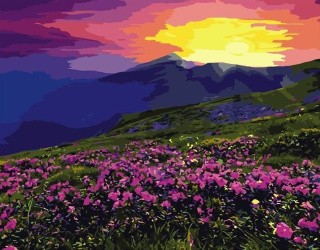 Картина по номерам «Розовое поле» Картина по номерам «Розовое поле»