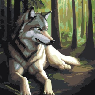 Картина по номерам «Волк в лесу»