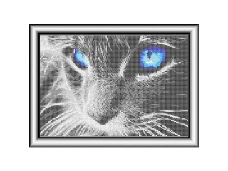 Рисунок на ткани «Взгляд кошки»