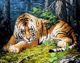 Картина по номерам «Хозяин тайги» Картина по номерам «Хозяин тайги»