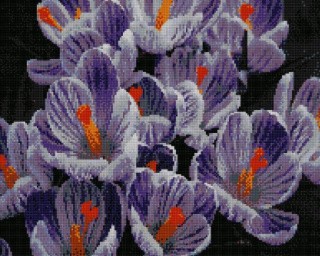 Алмазная вышивка «Крокусы» Алмазная вышивка «Крокусы»