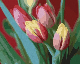 Картина по номерам «Нежные тюльпаны» Картина по номерам «Нежные тюльпаны»