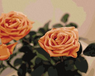 Картина по номерам «Чайная роза» Картина по номерам «Чайная роза»