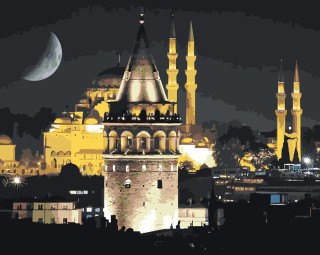 Картина по номерам «Стамбул, Турция: Галатская башня и мечеть»