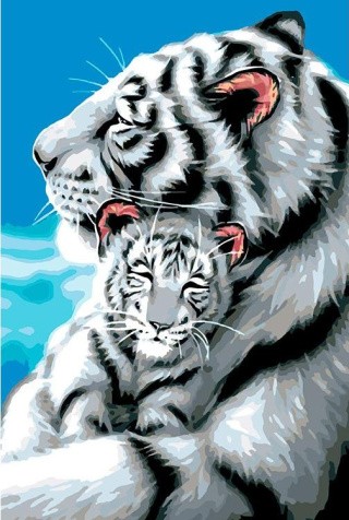 Картина по номерам «Белые тигры»