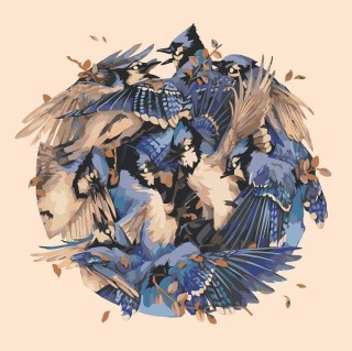 Картина по номерам «Синие птицы»