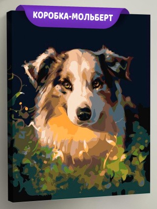 Картина по номерам «Собачий взгляд»
