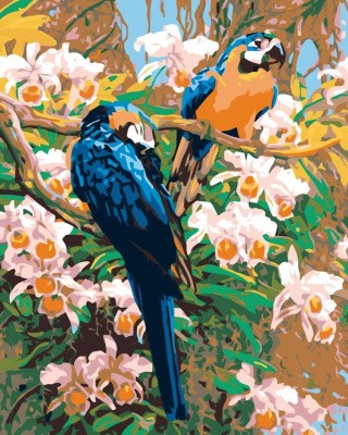 Картина по номерам «Тропические попугаи»