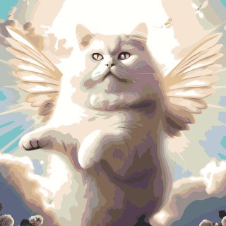 Картина по номерам «Толстый белый кот-ангел»