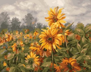 Картина по номерам «Подсолнечное поле» Картина по номерам «Подсолнечное поле»