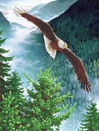 Рисунок на ткани «Орел»