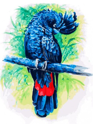 Картина по номерам «Синий попугай»