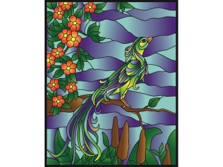 Витраж-раскраска «Райская птица»