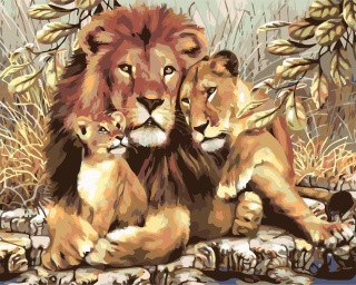 Картина по номерам «Львиное семейство»