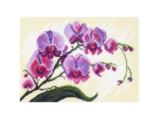 Рисунок на канве «Орхидеи, композиция»