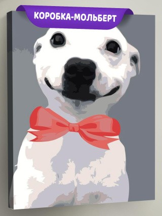 Картина по номерам «Собака-улыбака»