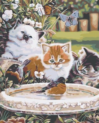 Картина по номерам «Любопытные котята»