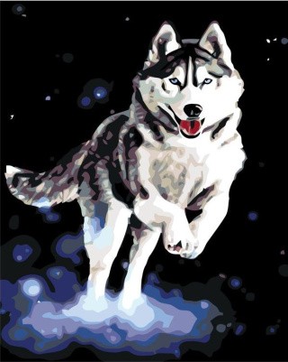 Картина по номерам «Волк в прыжке»