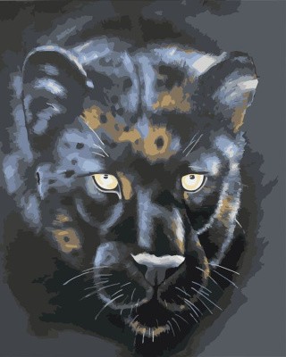Картина по номерам «Черная пантера»