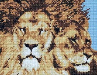Алмазная вышивка «Львы» Алмазная вышивка «Львы»