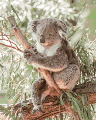 Картина по номерам «Коала» Картина по номерам «Коала»