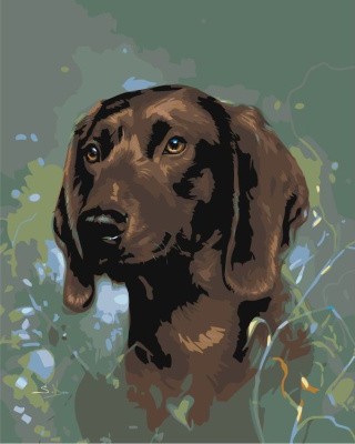 Картина по номерам «Охотничий пёс»