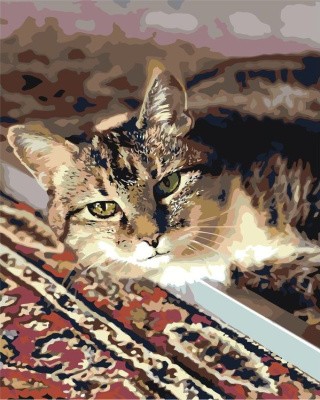 Картина по номерам «Кот»