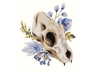 Картина по номерам «Череп» Картина по номерам «Череп»